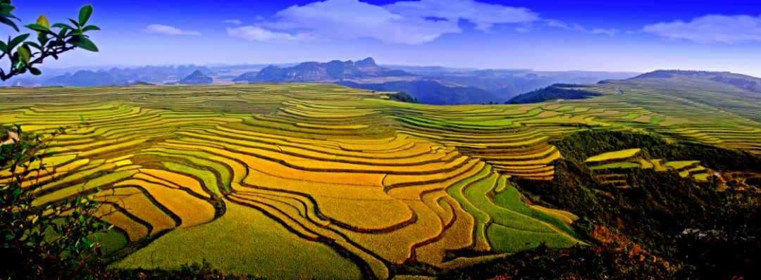 贵州贵阳花溪旅游推荐,贵州花溪旅游攻略