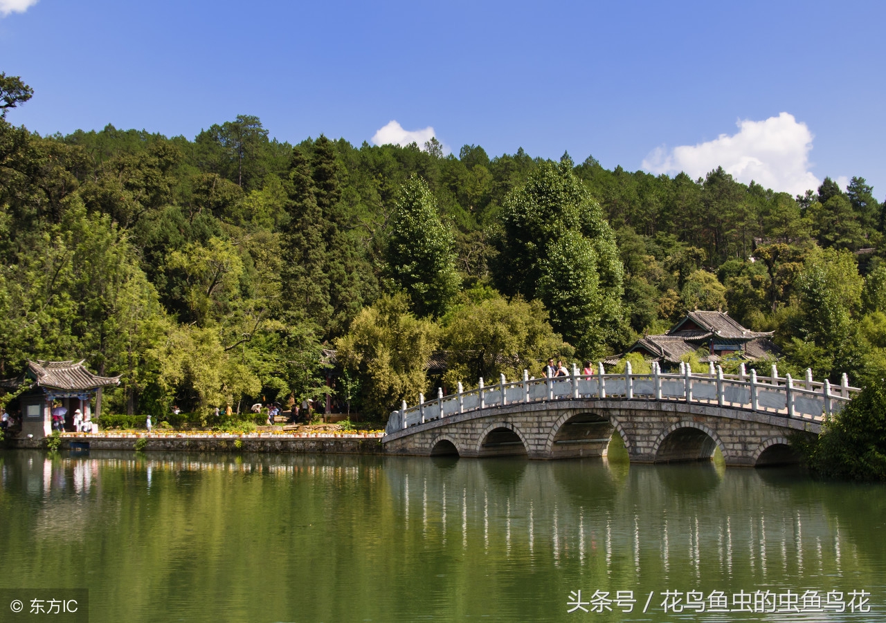 户外鱼池滴流过滤怎么做最好,庭院假山鱼池如何做循环过滤