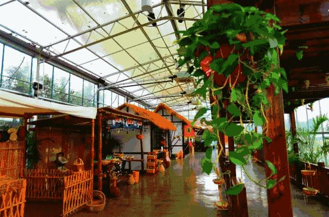 只有120亩的庄园，依靠营地教育，每年游客超十万，在股交所挂牌