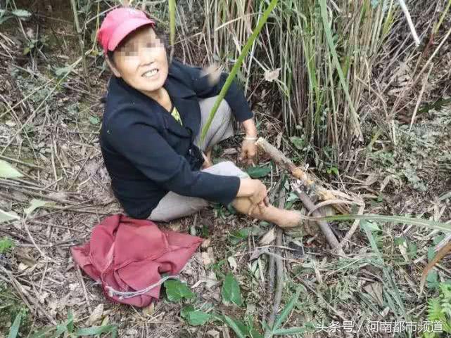 大妈身陷野猪夹，面对救援队员她一句话，让所有人乐了！