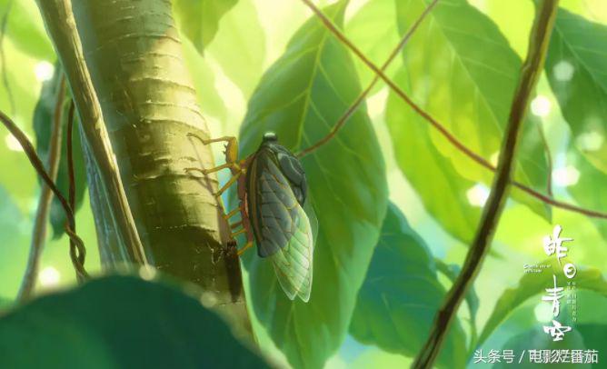 5月电影片单推荐,10月份上映的电影值得看的