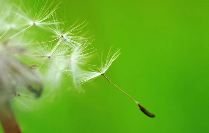 摄影技巧大揭秘如何拍出绝美照片,提高照片质感掌握这9个摄影技巧