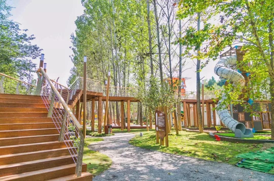 郑州足球小镇2019,郑州足球小镇有真草足球场吗