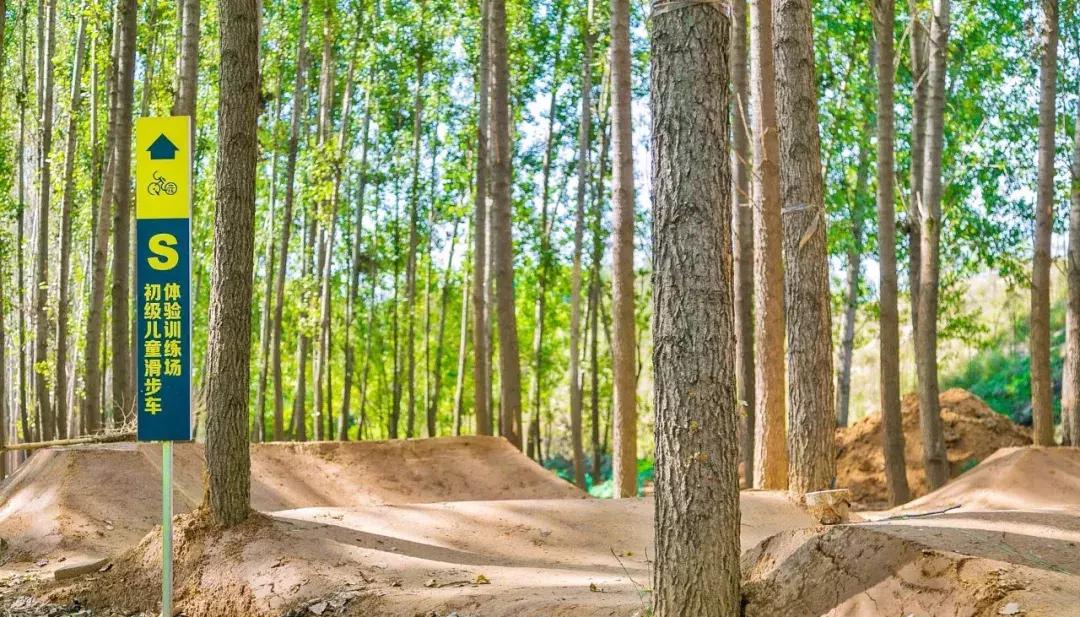 郑州足球小镇2019,郑州足球小镇有真草足球场吗