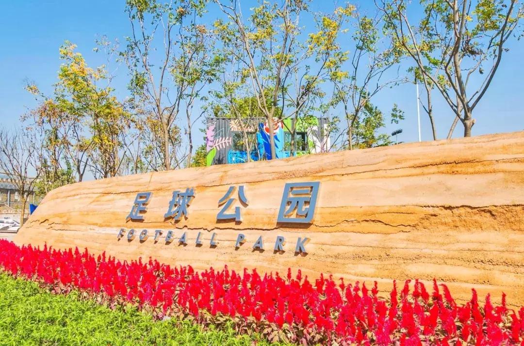 郑州足球小镇2019,郑州足球小镇有真草足球场吗