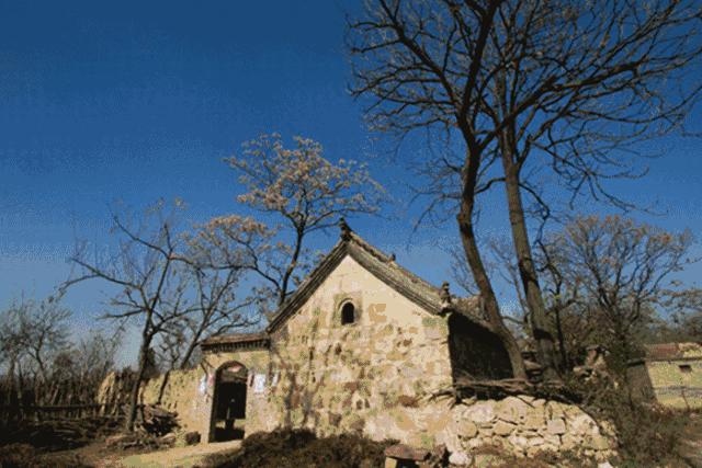 郑州足球小镇2019,郑州足球小镇有真草足球场吗