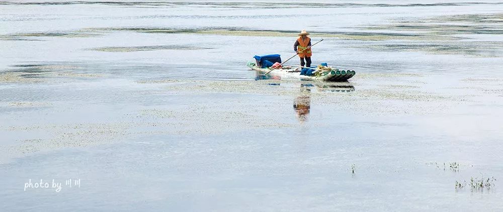 你旅游我买单图片,你旅游我买单