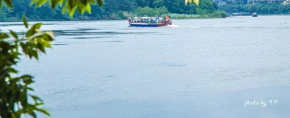 你旅游我买单图片,你旅游我买单