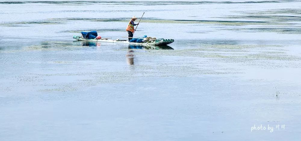 你旅游我买单图片,你旅游我买单