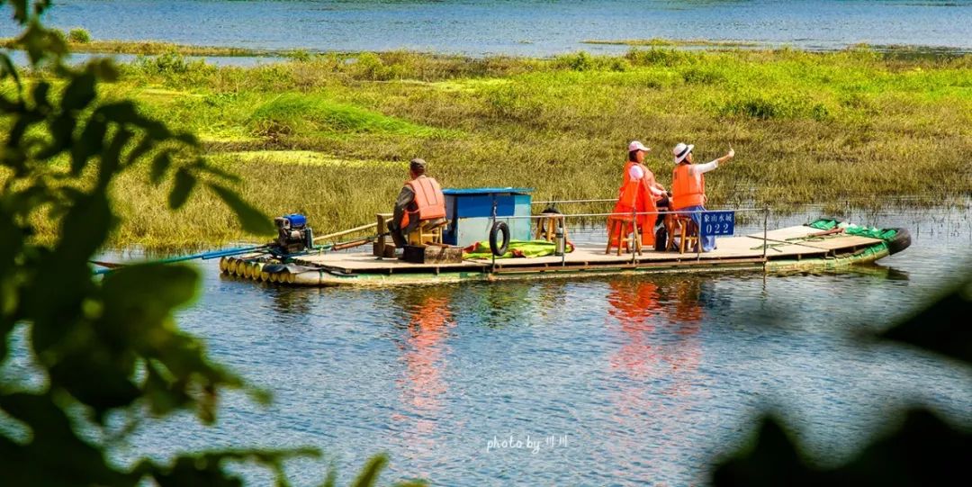 你旅游我买单图片,你旅游我买单