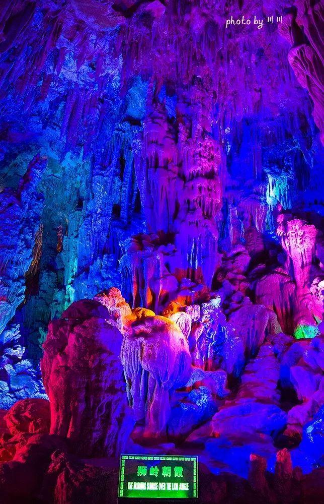 你旅游我买单图片,你旅游我买单