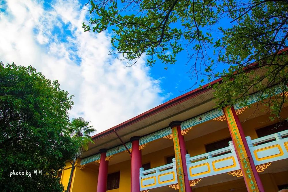 你旅游我买单图片,你旅游我买单