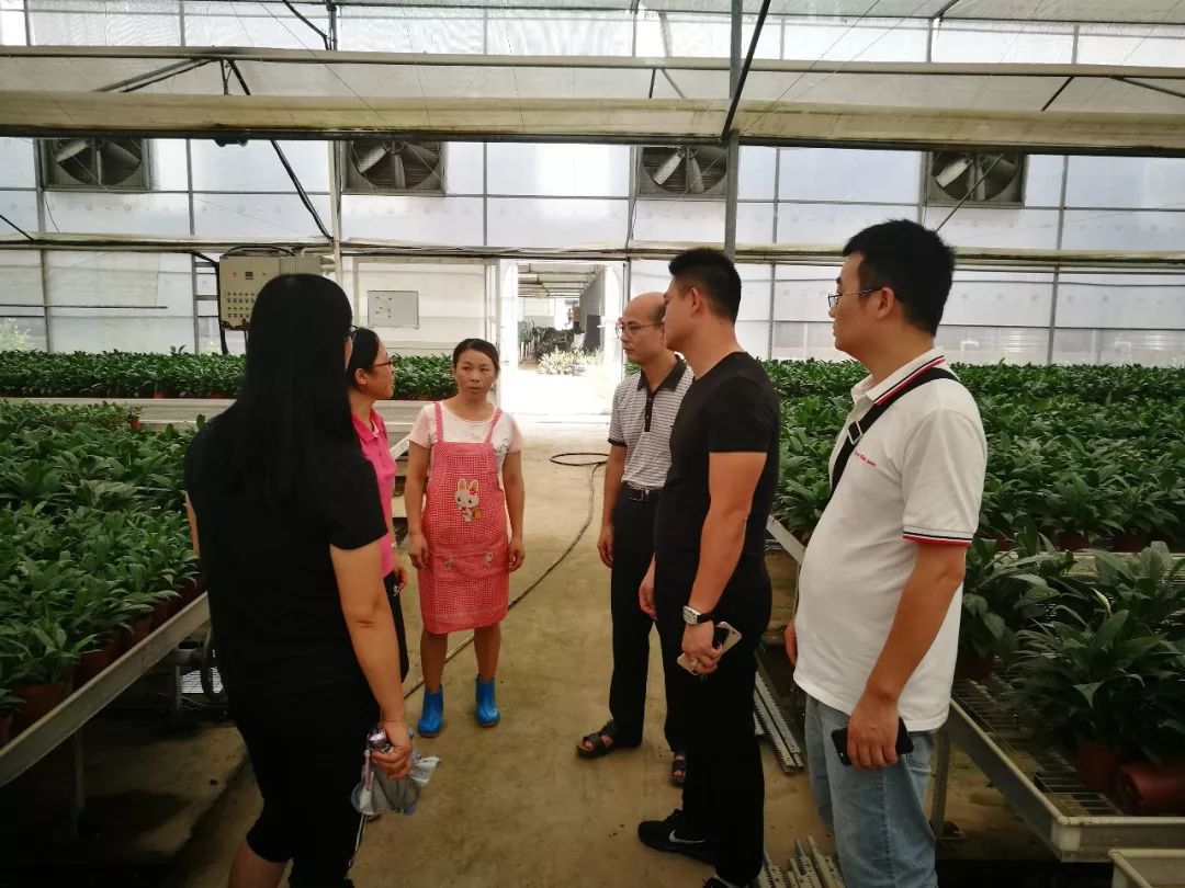 台风后复工复产工作方案,东莞麻涌复工复产进度