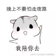 公交新线路开通视频,公交新开通2条城乡公交线路