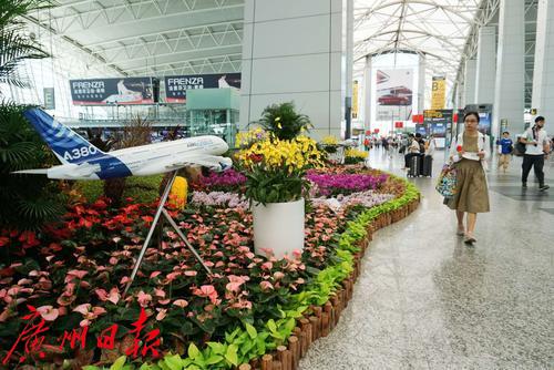 温馨提示白云机场出行有变化,白云机场乘机最新要求