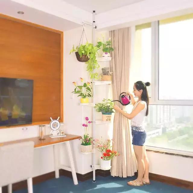 阳台布置花园适合买什么样的花架,阳台花架怎么布置效果图