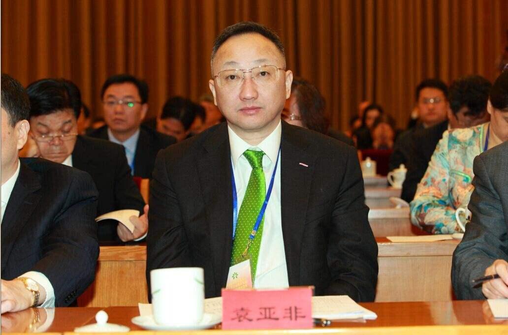 “南京第三富豪”割肉自救：陷600亿债务危局，计划百亿瘦身