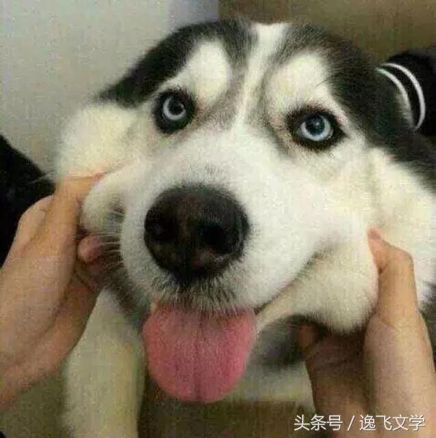 快速发家致富的小窍门,赚钱致富小窍门大全