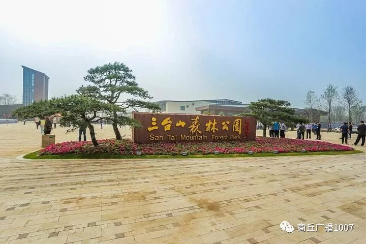 项王故里夜晚自驾游,衲田花海自驾游攻略