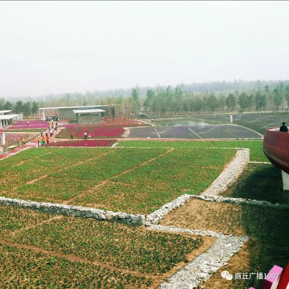 项王故里夜晚自驾游,衲田花海自驾游攻略