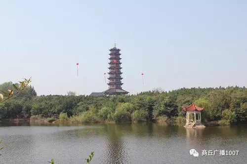 项王故里夜晚自驾游,衲田花海自驾游攻略