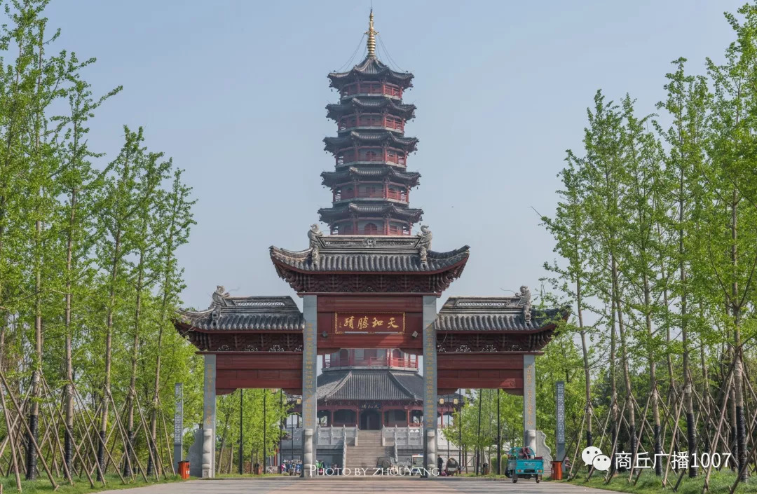 项王故里夜晚自驾游,衲田花海自驾游攻略