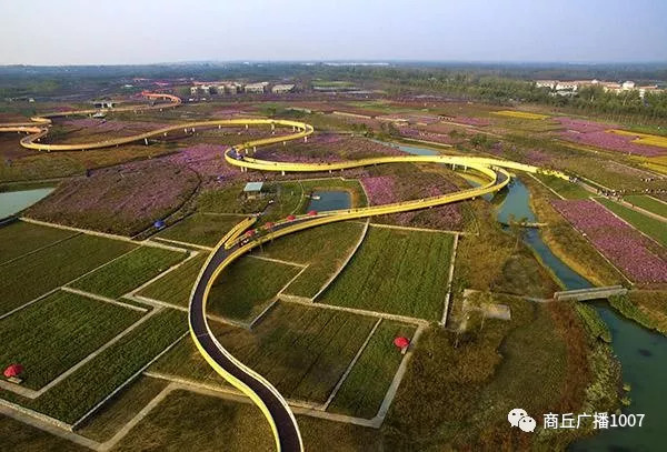 项王故里夜晚自驾游,衲田花海自驾游攻略