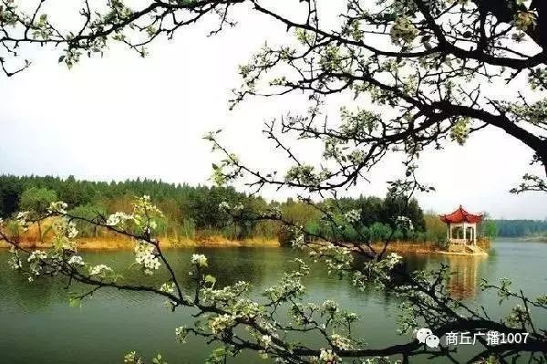 项王故里夜晚自驾游,衲田花海自驾游攻略