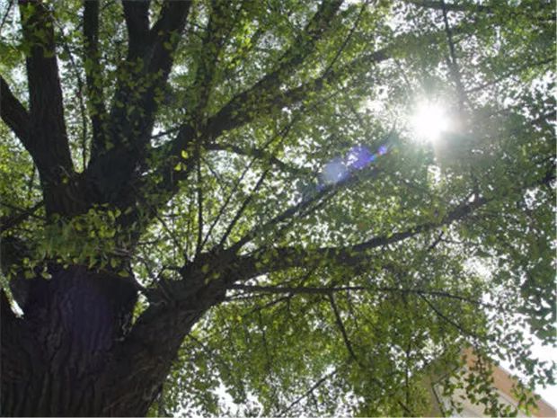 甯稿窞鍥藉簡鍋囨湡鍏嶈垂娓哥帺鏀荤暐,甯稿窞鍥藉簡鍋囨湡鏃呮父鏀荤暐