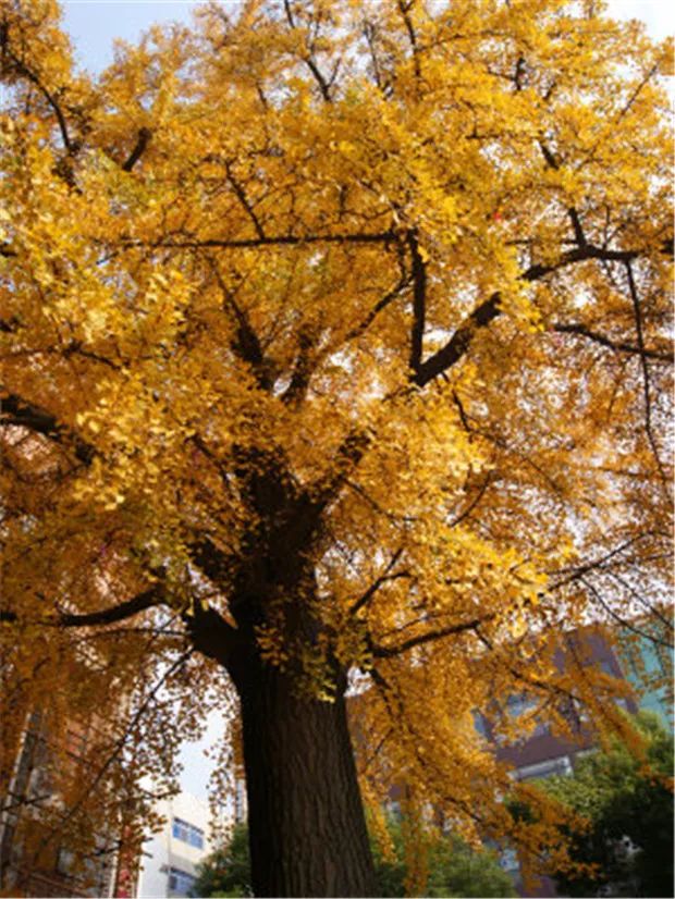 甯稿窞鍥藉簡鍋囨湡鍏嶈垂娓哥帺鏀荤暐,甯稿窞鍥藉簡鍋囨湡鏃呮父鏀荤暐