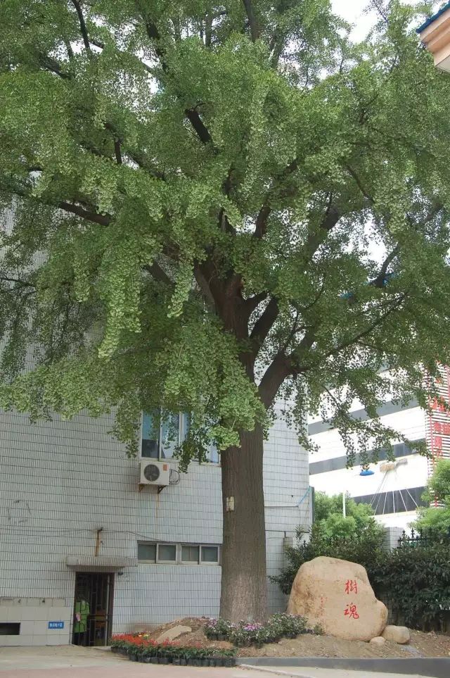 甯稿窞鍥藉簡鍋囨湡鍏嶈垂娓哥帺鏀荤暐,甯稿窞鍥藉簡鍋囨湡鏃呮父鏀荤暐