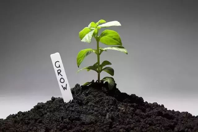 枯草芽孢杆菌不能和什么药使用,枯草芽孢杆菌和杀菌剂能一起用