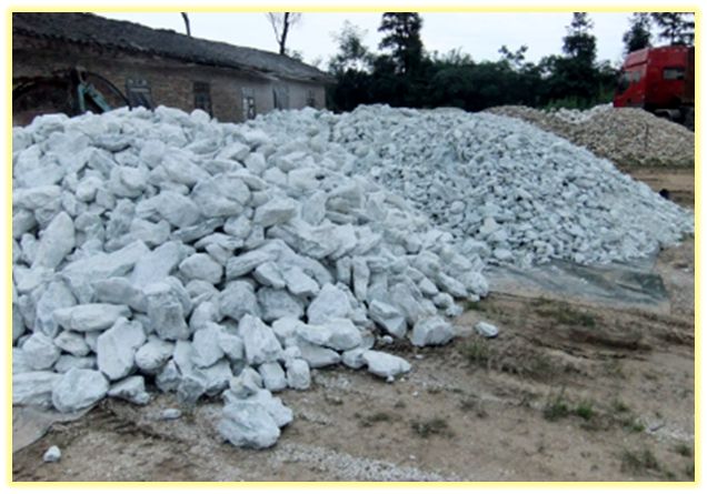 中药知识必学青皮,中药知识必学茵陈