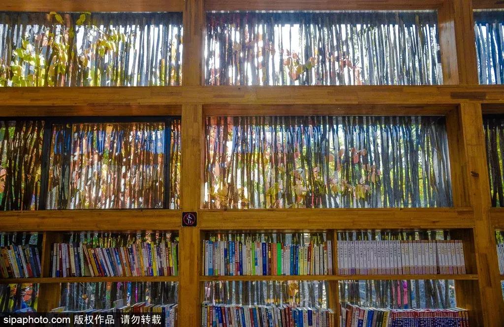 京城免费景点,京城旅游十大必去景点