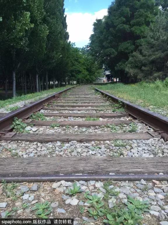 京城免费景点,京城旅游十大必去景点