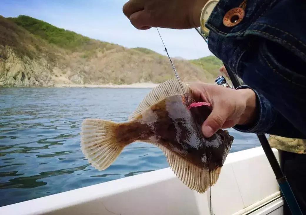 2019热门珲春自驾游记攻略,珲春中俄自驾游露营