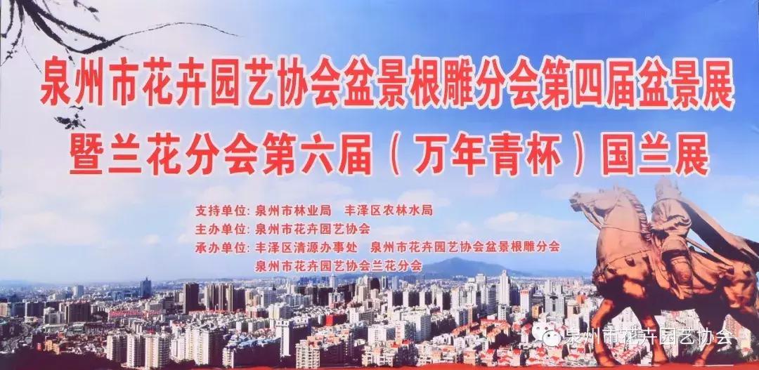 喜迎国庆展风采,迎国庆鲜花展美图