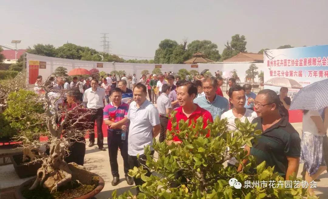 喜迎国庆展风采,迎国庆鲜花展美图