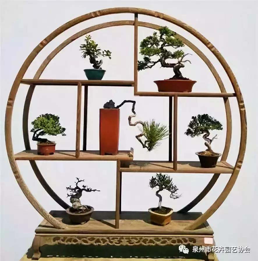 喜迎国庆展风采,迎国庆鲜花展美图