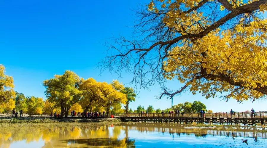 激励人心励志的古诗词,经典励志古诗60句