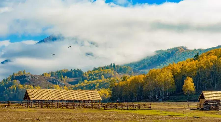 激励人心励志的古诗词,经典励志古诗60句