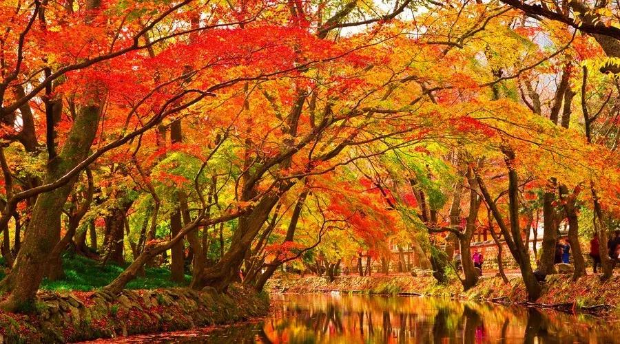 激励人心励志的古诗词,经典励志古诗60句