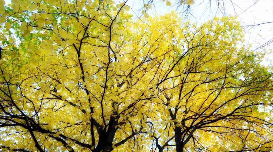 激励人心励志的古诗词,经典励志古诗60句