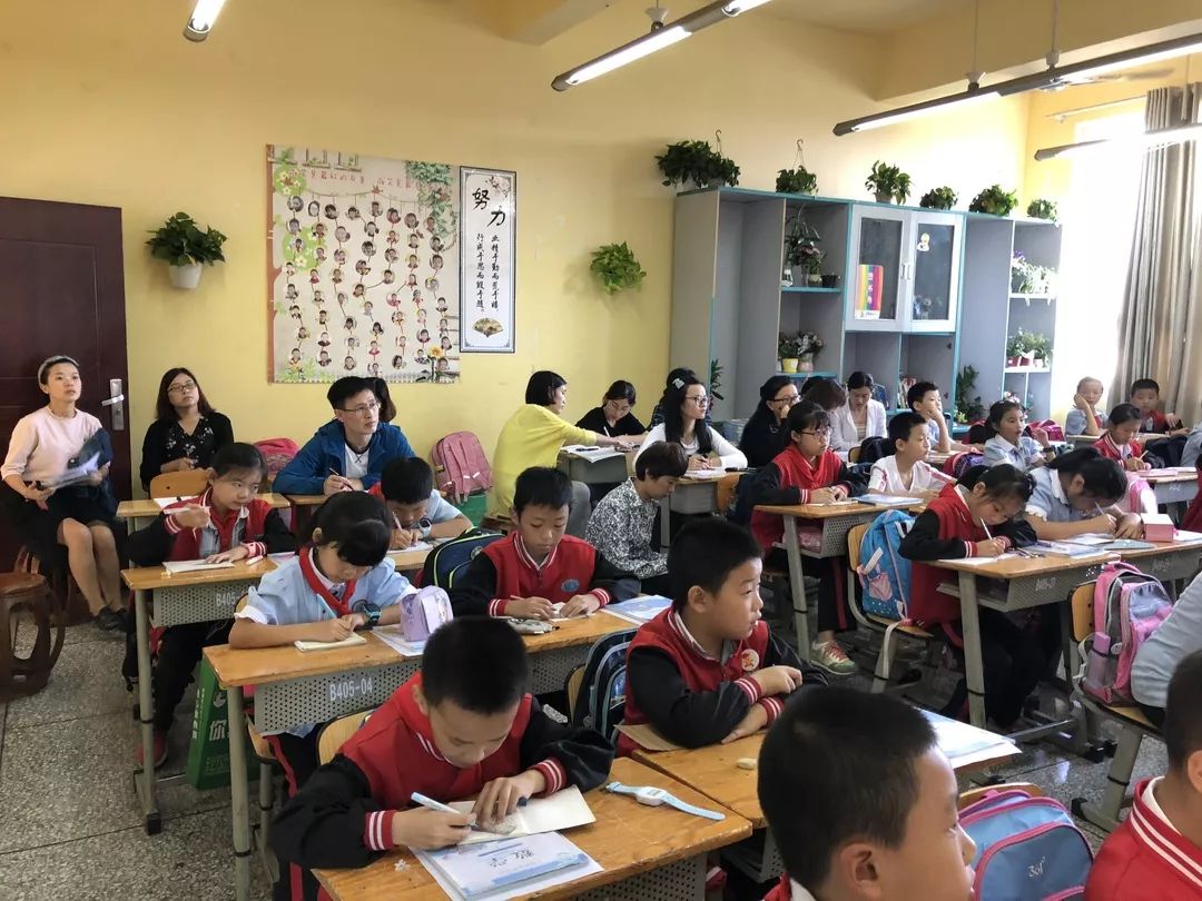 特色交流促提升,携手发展共成长——记成都高新新科学校学习访问之旅