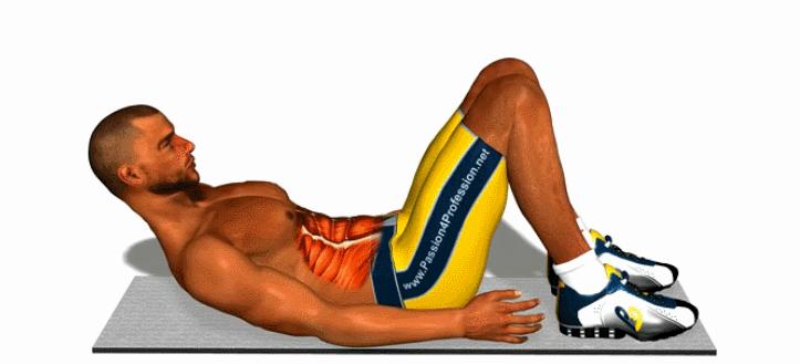 腹部人鱼线怎么练,训练腹部先出人鱼线后出马甲线吗