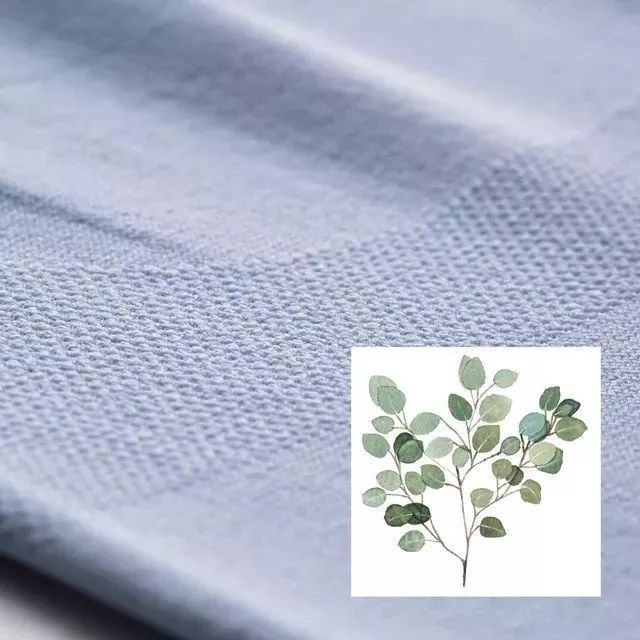 一条拼团｜塑形打*裤底**，超柔软的法兰绒毯