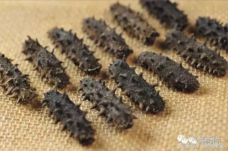 泡发海参飘起来,泡发海参为什么要用矿泉水纯净水