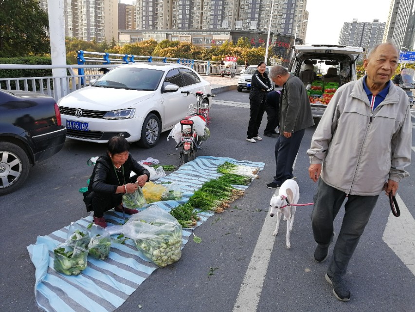 郑州买的鲜羊奶,郑州鲜羊奶市场