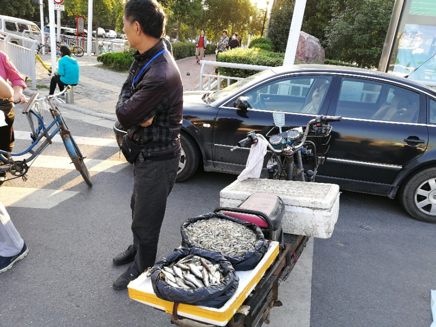 郑州买的鲜羊奶,郑州鲜羊奶市场