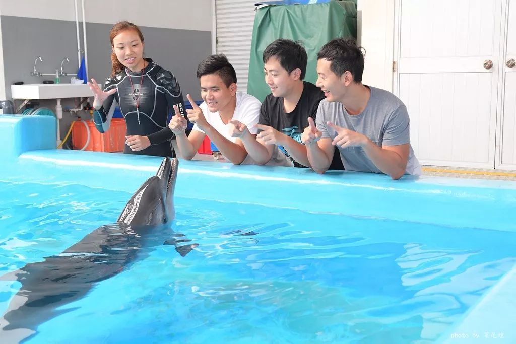 乘高铁游香港快捷又方便,坐高铁怎么样去珠海长隆海洋乐园